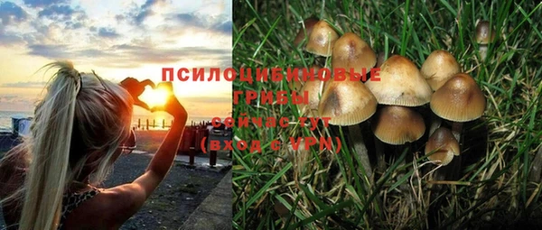 крисы Алексин