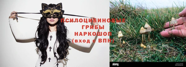 героин Алзамай