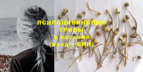крисы Алексин