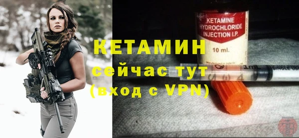 крисы Алексин