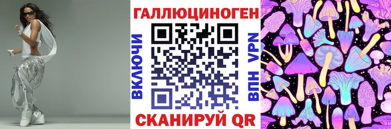 сколько стоит  Могоча  Псилоцибиновые грибы Psilocybe 