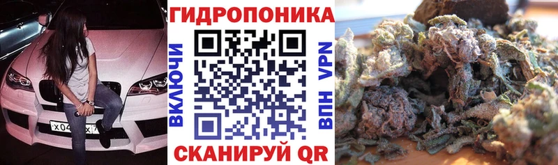 хочу наркоту  Могоча  ОМГ ОМГ ССЫЛКА  Марихуана SATIVA & INDICA 